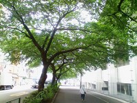 080628-144832.jpg
