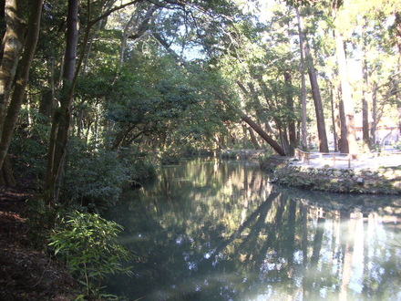 2005-01-01 00.21.31.jpg