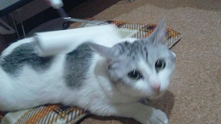 DSC_0354 のコピー.jpg