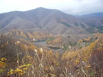 IMGP0850.JPG