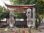 IMGP0854.JPG