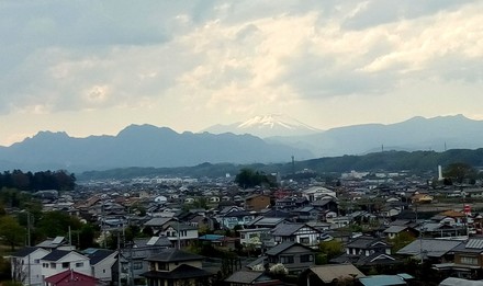 IMG_20200427_172348_843.jpg